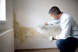 Mold Odor Removal Services in Cortland, OH